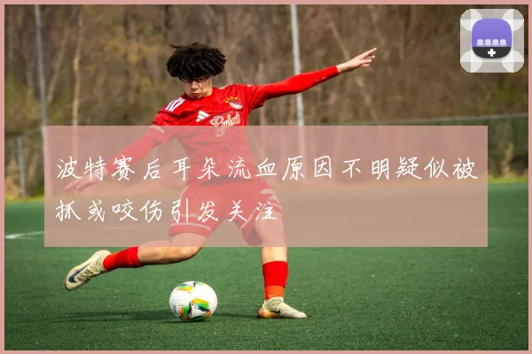 波特赛后耳朵流血原因不明疑似被抓或咬伤引发关注