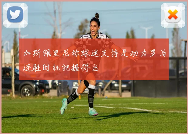 加斯佩里尼称球迷支持是动力罗马连胜时机把握得当